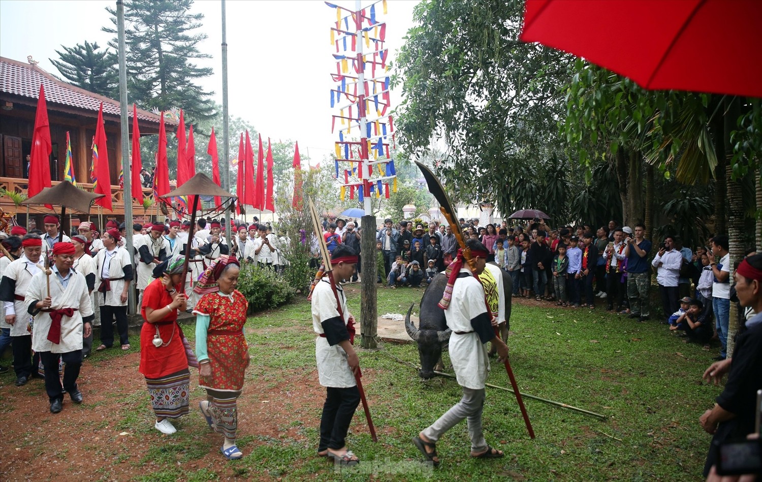 chuan-bi-nghi-le-dam-trau-anh-tu-lieu-1647417693.jpg