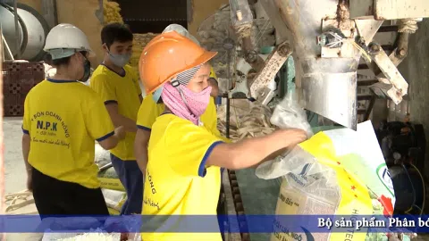 Phân bón Doanh Nông