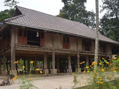 Vẻ đẹp độc đáo của những ngôi nhà sản của người Mường ở Thanh Hóa