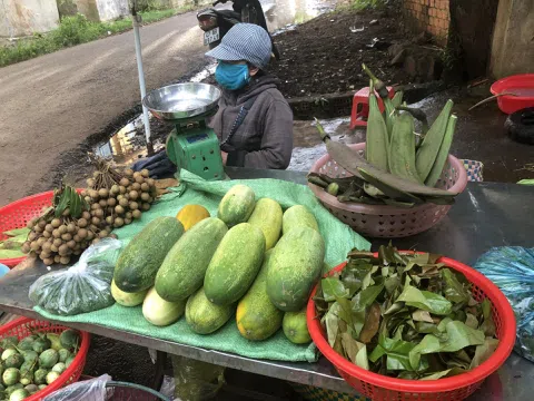 Đậm đà hương vị rau rừng