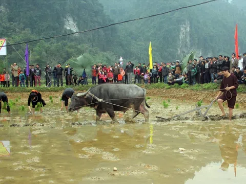Khai hội Lồng Tồng của người Tày