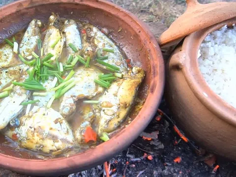 Hít hà cá liệt rim tiêu